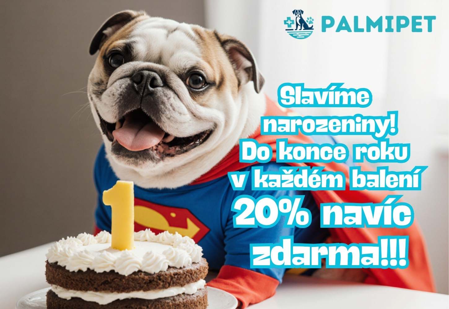 Šířka 1 (1910 x 800 px)